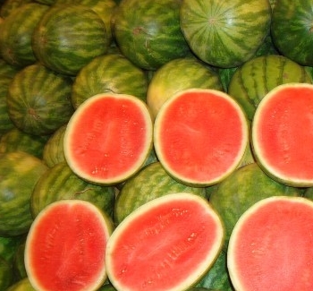 ޹༼