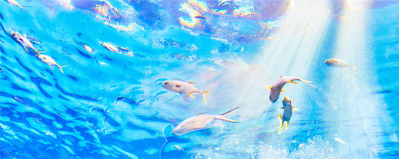 βô䷱ֳ-ͼ