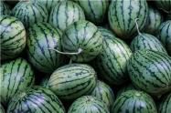 ϼ۸ڶǮһ2019ĸƷ׬Ǯ