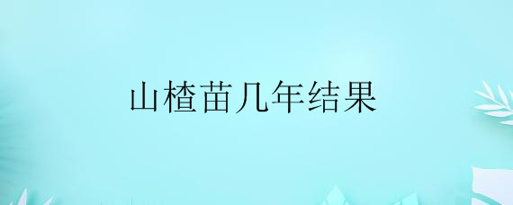 ɽ缸