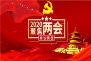 2020ĻЩ¸ı䣿