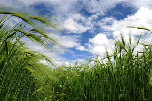 �й�ũ�������η�Դ�أ�ۯ��ũ�ƴ�