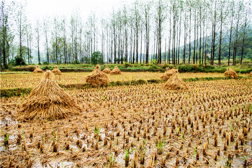 ���سа�-��ͼ��